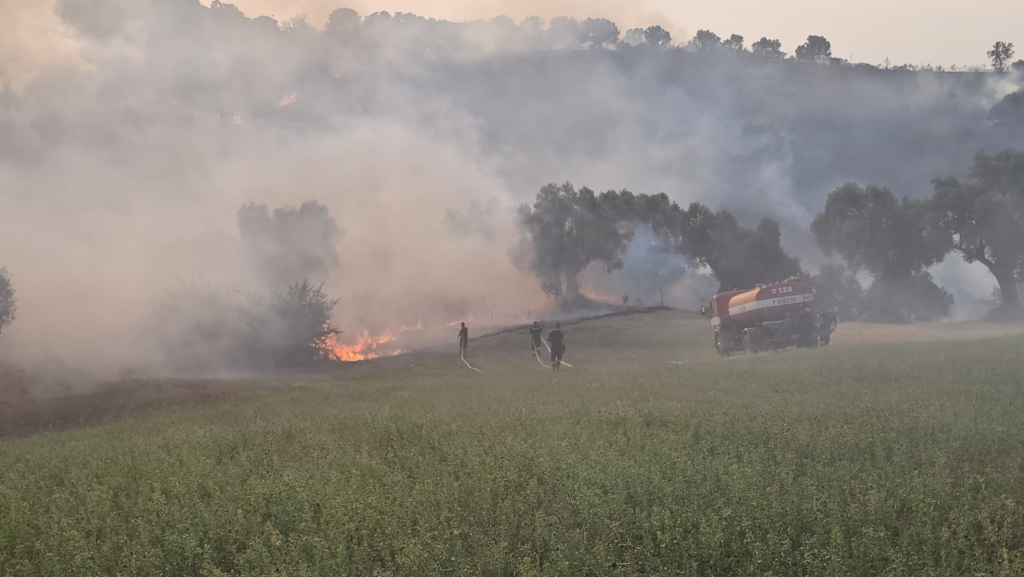 Zjarret në Kavajë dhe Rrogozhinë, në pranga dy autorët