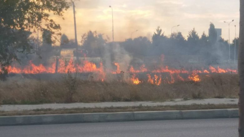 Po përpiqej të shuante zjarrin, vdes i moshuari në Fier