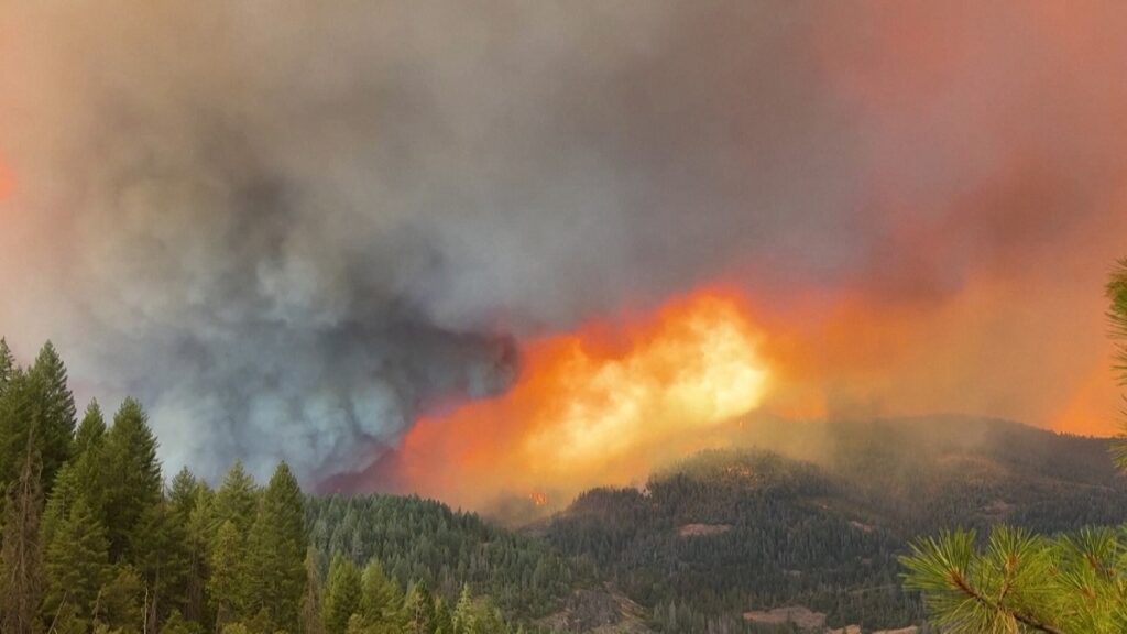 Oregon në pushtetin e zjarreve, digjen 1600 km katrorë në një zonë