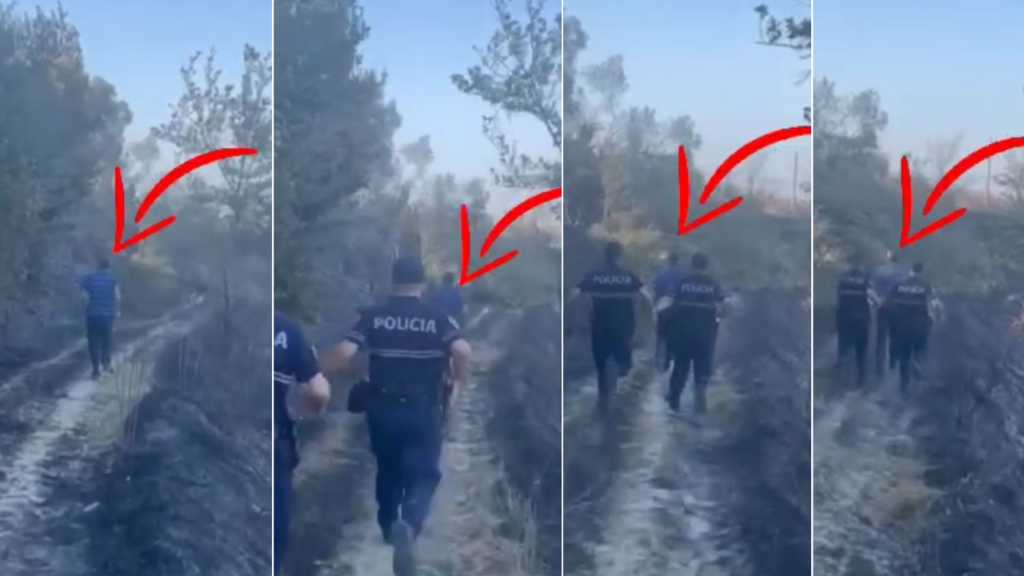 Vuri zjarrin dhe dogji sipërfaqe me ullinj, momenti kur policia kap autorin (Video)