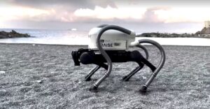 I ngarkuar me ‘mision’, një robot me katër këmbë shfaqet në plazhet italiane