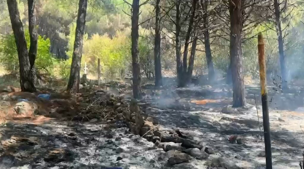 Shuhen të gjitha vatrat e zjarrit në Shëngjin, pushuesit rikthehen në hotelet e tyre