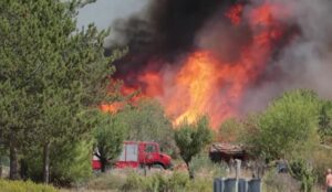 Zjarret në SHBA, vatra të reja në Kolorado