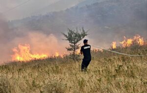 Përkeqësohet situata në Dropull dhe Finiq. Peleshi, thirrje banorëve në fshatrat e përfshirë nga zjarret