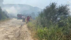 “Vija e zjarrit rreth 5 kilometra”, përkeqësohet situata në Dropull si pasojë e flakëve