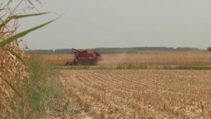 Vera’ fiton‘, ‘humbasin’ të korrat në Ballkan