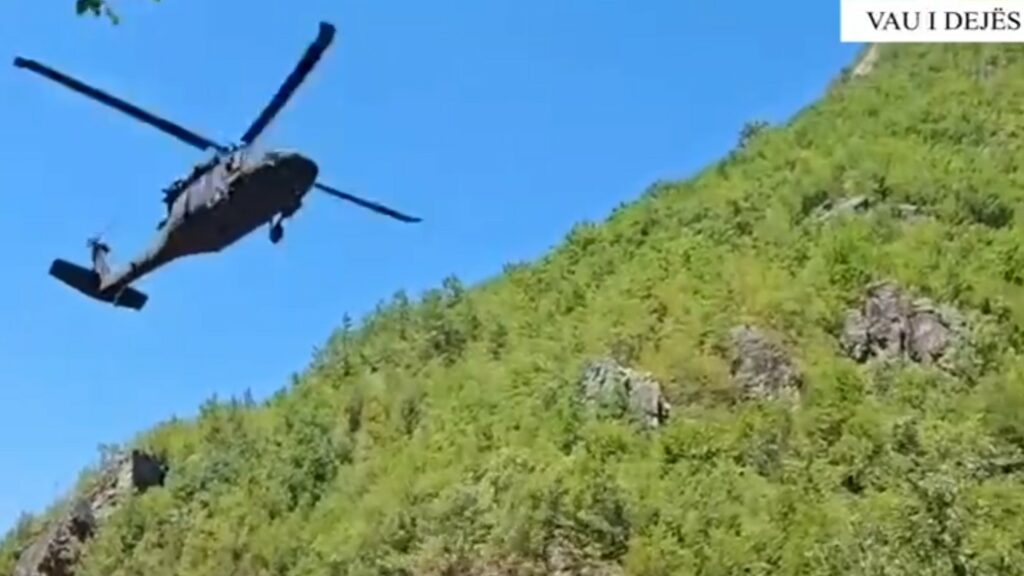 Kontrolle me helikopter: Gjenden rreth 13 mijë bimë e fidanë kanabis në Temal