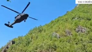 Kontrolle me helikopter: Gjenden rreth 13 mijë bimë e fidanë kanabis në Temal