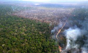 Zjarre masive në Brazil, 30 qytete në alarm