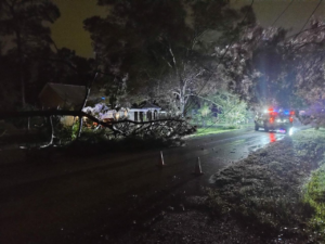 Florida, stuhia Debby forcohet në një uragan