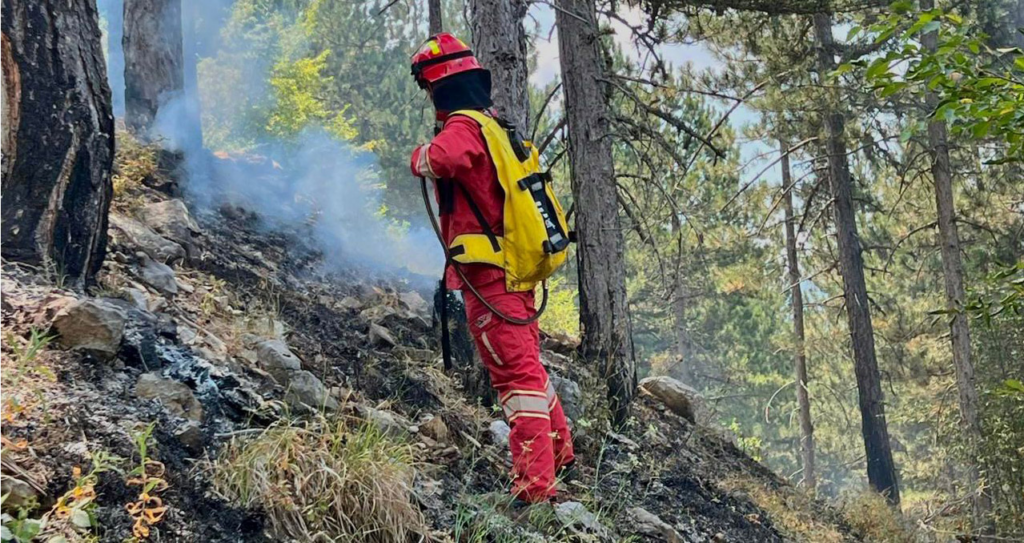 MM: 28 vatra zjarri në vend brenda 24 orëve