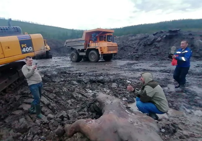 Kërkonin për flori, minatorët gjejnë ‘thesarin’ prehistorik