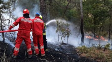 Situata e zjarreve në vend: 8 vatra aktive