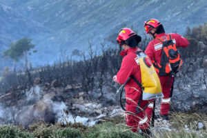 Shuhen 20 vatra zjarri, situata nën kontroll për 4 të tjera