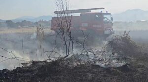 Përfshihet nga zjarri një sipërfaqe toke bujqësore në Moravë të Korçës