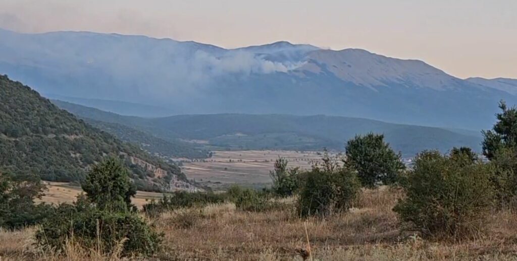 Zjarret rrezikojnë Parkun Kombëtar të Prespës