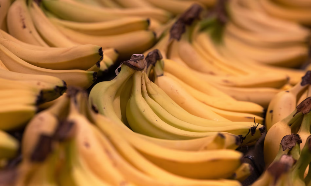 Gjenden 40 kilogramë kokainë në dërgesat me banane të katër supermarketeve në Francë